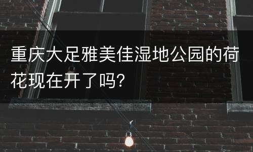 重庆大足雅美佳湿地公园的荷花现在开了吗？