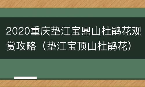 2020重庆垫江宝鼎山杜鹃花观赏攻略（垫江宝顶山杜鹃花）