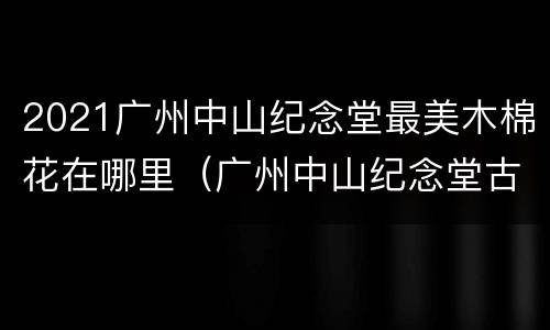 2021广州中山纪念堂最美木棉花在哪里（广州中山纪念堂古树）