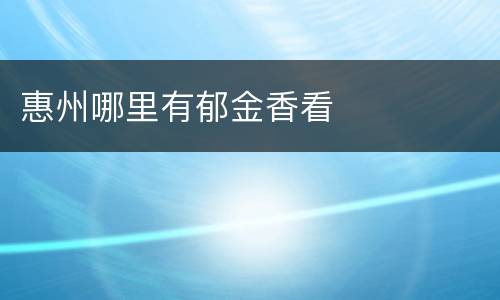 惠州哪里有郁金香看