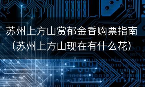苏州上方山赏郁金香购票指南（苏州上方山现在有什么花）
