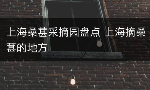 上海桑葚采摘园盘点 上海摘桑葚的地方