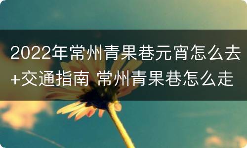 2022年常州青果巷元宵怎么去+交通指南 常州青果巷怎么走