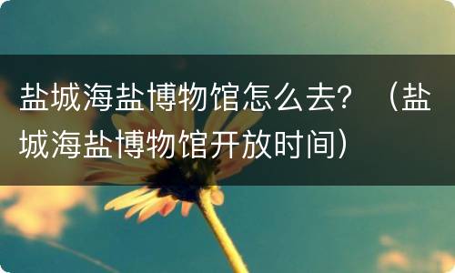 盐城海盐博物馆怎么去？（盐城海盐博物馆开放时间）