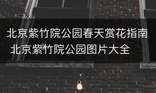 北京紫竹院公园春天赏花指南 北京紫竹院公园图片大全