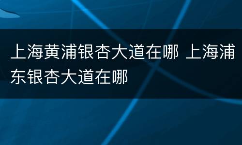 上海黄浦银杏大道在哪 上海浦东银杏大道在哪