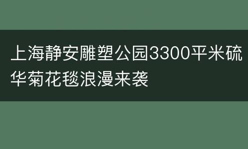 上海静安雕塑公园3300平米硫华菊花毯浪漫来袭