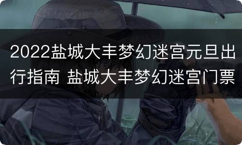 2022盐城大丰梦幻迷宫元旦出行指南 盐城大丰梦幻迷宫门票多少钱