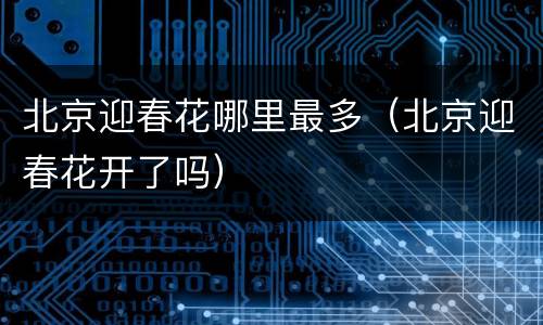北京迎春花哪里最多（北京迎春花开了吗）