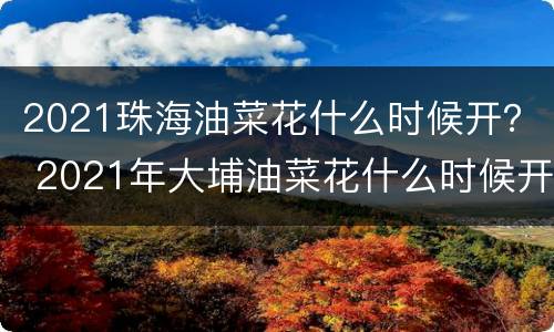 2021珠海油菜花什么时候开？ 2021年大埔油菜花什么时候开