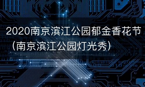 2020南京滨江公园郁金香花节（南京滨江公园灯光秀）