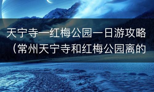 天宁寺—红梅公园一日游攻略（常州天宁寺和红梅公园离的近吗）