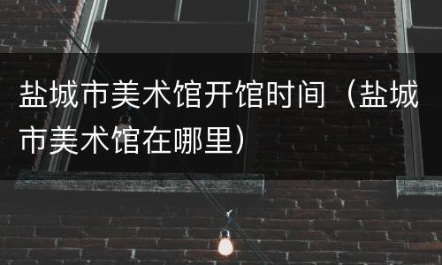 盐城市美术馆开馆时间（盐城市美术馆在哪里）