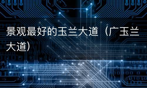 景观最好的玉兰大道（广玉兰大道）