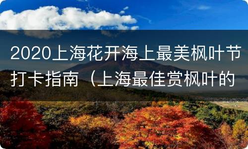 2020上海花开海上最美枫叶节打卡指南（上海最佳赏枫叶的时间）