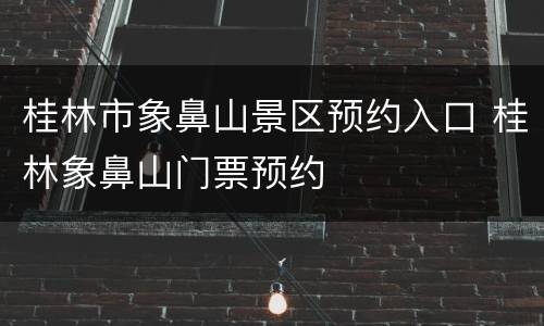桂林市象鼻山景区预约入口 桂林象鼻山门票预约
