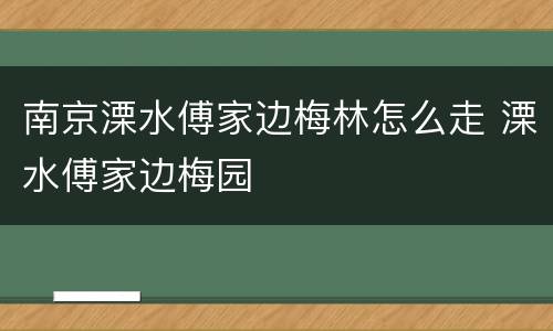 南京溧水傅家边梅林怎么走 溧水傅家边梅园
