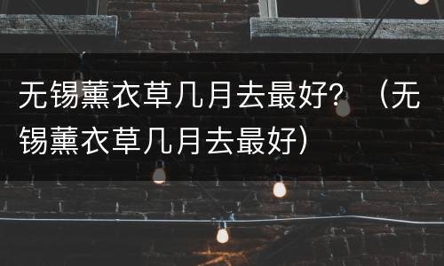 无锡薰衣草几月去最好？（无锡薰衣草几月去最好）