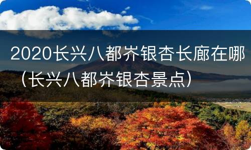2020长兴八都岕银杏长廊在哪（长兴八都岕银杏景点）