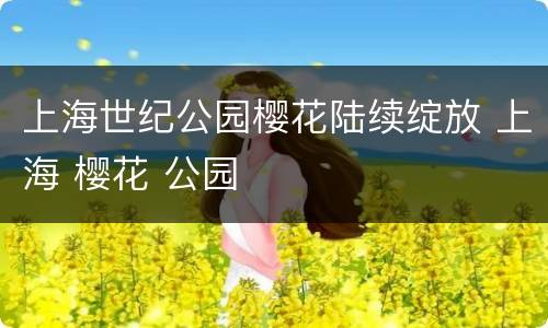 上海世纪公园樱花陆续绽放 上海 樱花 公园