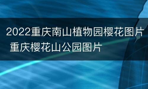 2022重庆南山植物园樱花图片 重庆樱花山公园图片