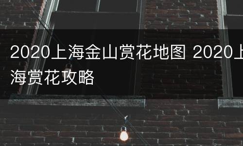 2020上海金山赏花地图 2020上海赏花攻略