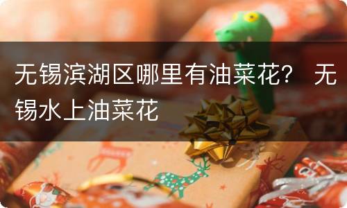 无锡滨湖区哪里有油菜花？ 无锡水上油菜花