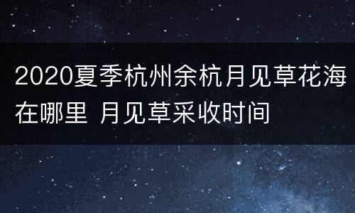 2020夏季杭州余杭月见草花海在哪里 月见草采收时间