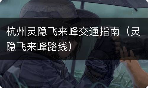 杭州灵隐飞来峰交通指南（灵隐飞来峰路线）