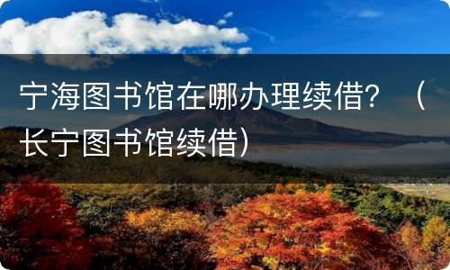 宁海图书馆在哪办理续借？（长宁图书馆续借）