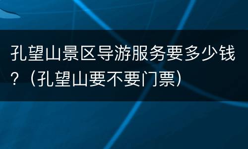 孔望山景区导游服务要多少钱?（孔望山要不要门票）