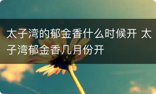 太子湾的郁金香什么时候开 太子湾郁金香几月份开