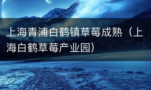 上海青浦白鹤镇草莓成熟（上海白鹤草莓产业园）