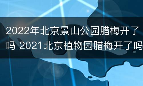 2022年北京景山公园腊梅开了吗 2021北京植物园腊梅开了吗