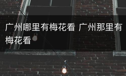 广州哪里有梅花看 广州那里有梅花看