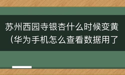 苏州西园寺银杏什么时候变黄（华为手机怎么查看数据用了多少）