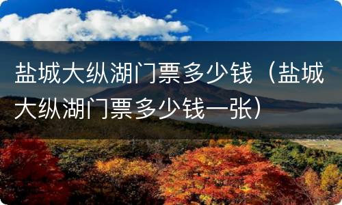 盐城大纵湖门票多少钱（盐城大纵湖门票多少钱一张）