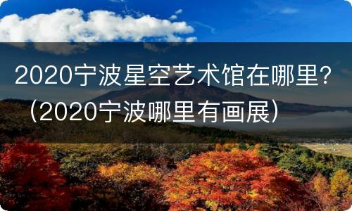 2020宁波星空艺术馆在哪里？（2020宁波哪里有画展）