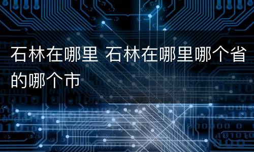 石林在哪里 石林在哪里哪个省的哪个市