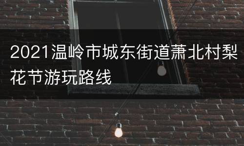 2021温岭市城东街道萧北村梨花节游玩路线