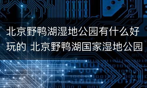 北京野鸭湖湿地公园有什么好玩的 北京野鸭湖国家湿地公园攻略