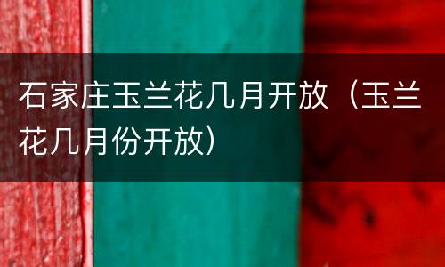 石家庄玉兰花几月开放（玉兰花几月份开放）