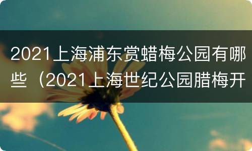 2021上海浦东赏蜡梅公园有哪些（2021上海世纪公园腊梅开了吗）