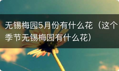 无锡梅园5月份有什么花（这个季节无锡梅园有什么花）