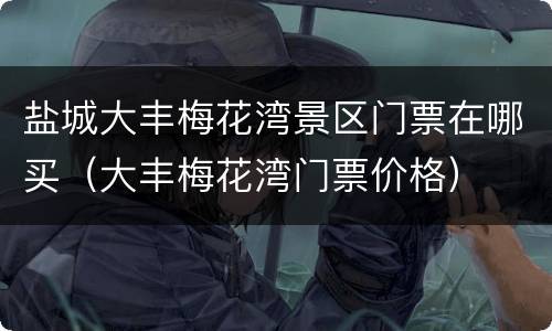 盐城大丰梅花湾景区门票在哪买（大丰梅花湾门票价格）