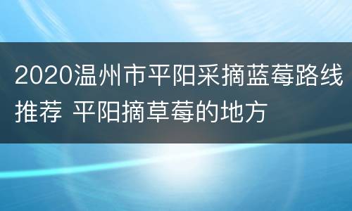 2020温州市平阳采摘蓝莓路线推荐 平阳摘草莓的地方