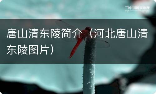 唐山清东陵简介（河北唐山清东陵图片）