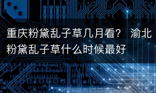 重庆粉黛乱子草几月看？ 渝北粉黛乱子草什么时候最好