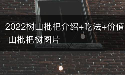2022树山枇杷介绍+吃法+价值 山枇杷树图片