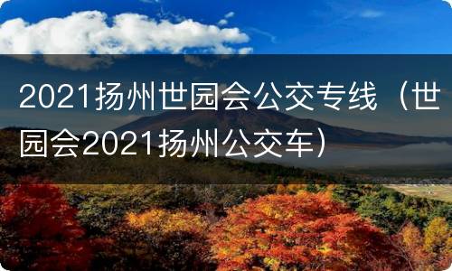 2021扬州世园会公交专线（世园会2021扬州公交车）